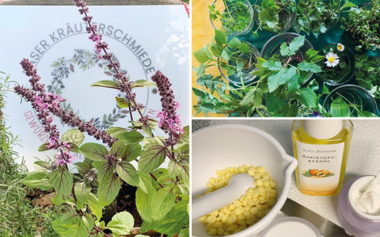 Aktiv und gut begleitet durch das Frühjahr: Der Kneipp-Verein Gifhorn stellt gleich zwei Gesundheitsangebote vor