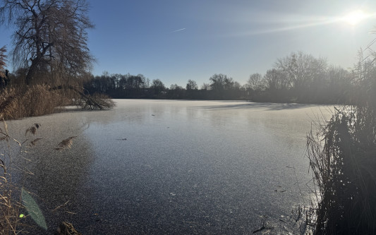 Angelverein Brome: Mitmachen bei Gemeinschaft und Naturerlebnis