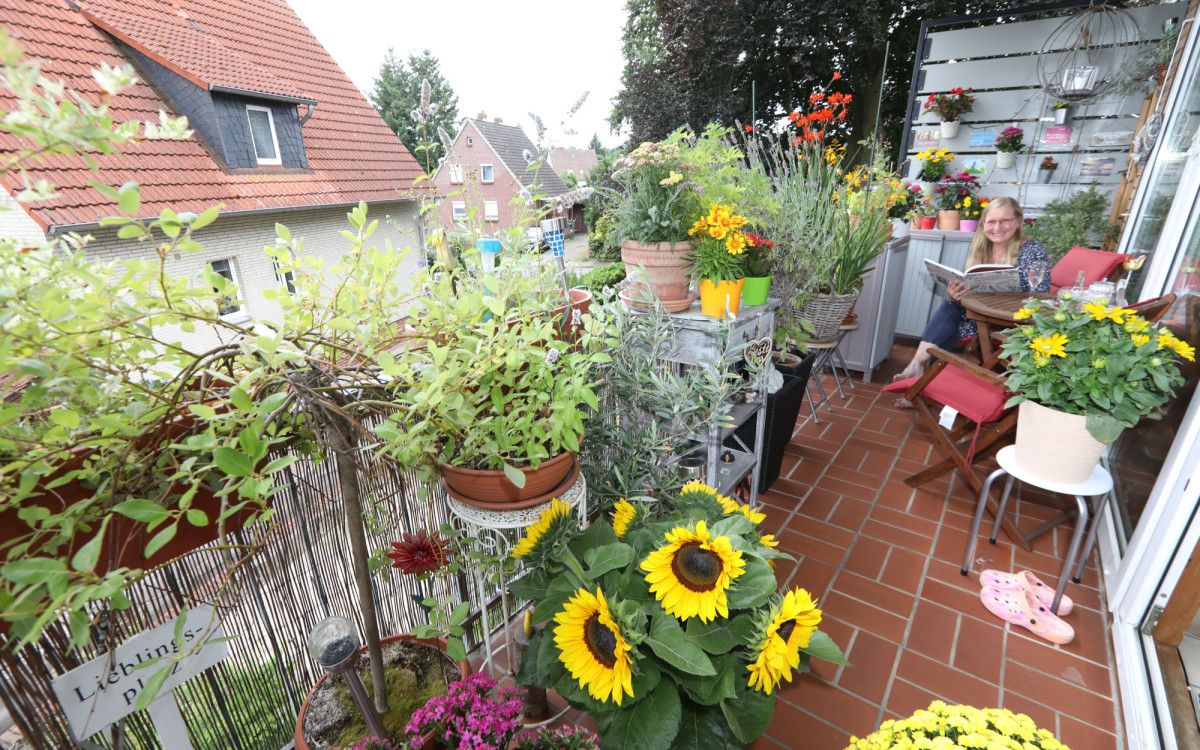Der schönste Balkon gehört Astrid Blume: Die Gifhornerin schnappt sich im Leser-Voting des Balkon-Wettbewerbs Platz 1