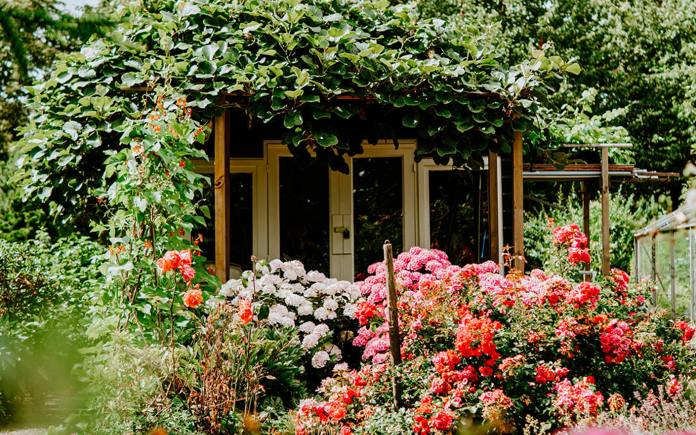 Erkundungstour zwischen Rosen und Rhododendren: Bis Ende September öffnen zahlreiche Gartenbesitzer in der Region ihre Pforten