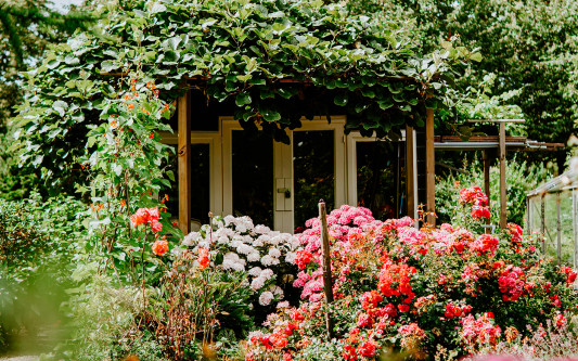 Erkundungstour zwischen Rosen und Rhododendren: Bis Ende September öffnen zahlreiche Gartenbesitzer in der Region ihre Pforten