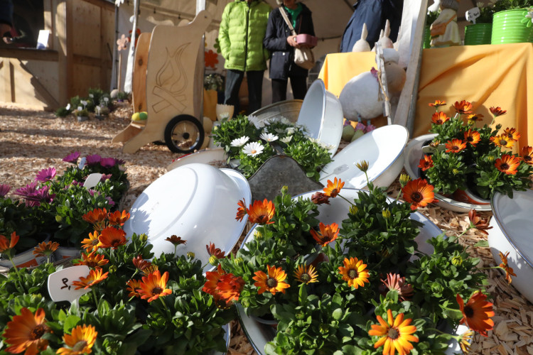 Fotogalerie zum Frühlingserwachen: Die Lebenshilfe strahlt beim Tag der offenen Tür