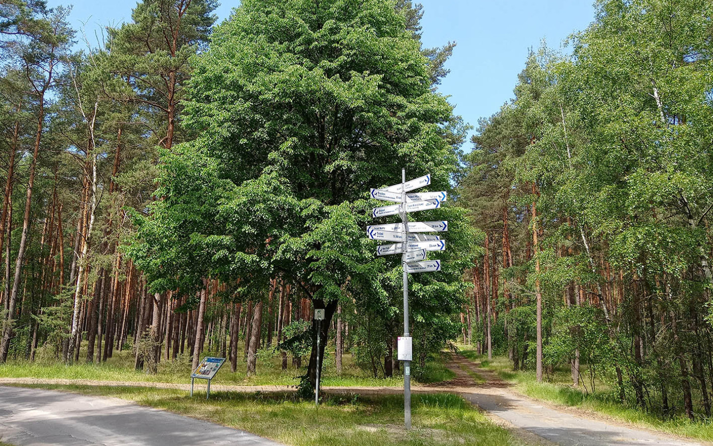 In der Sassenburg ist man mittendrin: Bürgermeister Jochen Koslowski preist Naherholung, Natur treffen und stadtnahes Wohnen