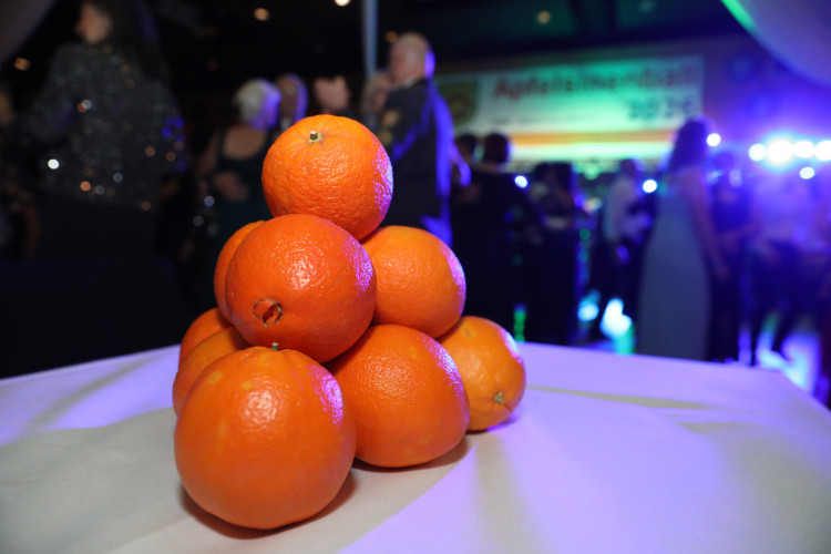 Locker in der Hüfte, immer ein Lächeln im Gesicht: KURT zeigt die schönsten Fotos des USK-Apfelsinenballs