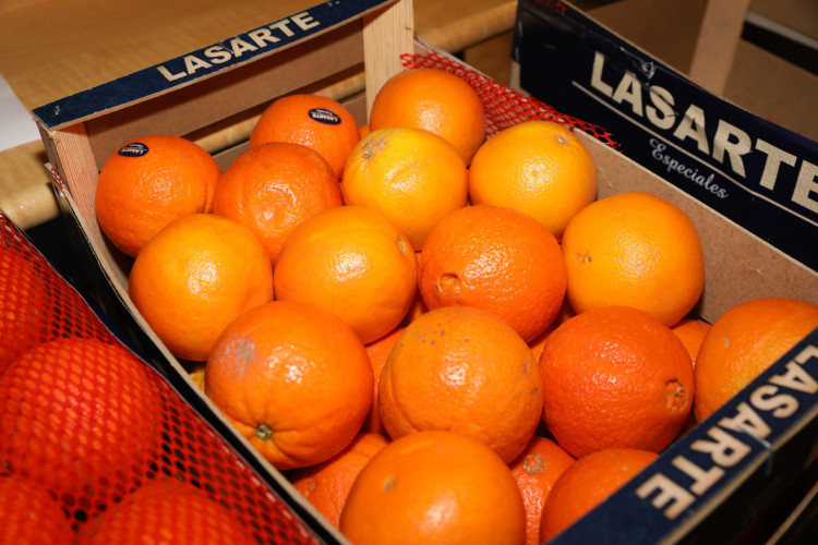 Locker in der Hüfte, immer ein Lächeln im Gesicht: KURT zeigt die schönsten Fotos des USK-Apfelsinenballs