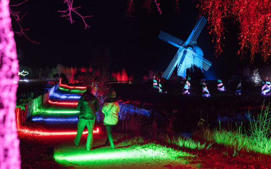 So eindrucksvoll erstrahlt das Mühlenmuseum vom 30. Januar bis 8. März: Jetzt Tickets sichern für die Brawo-Mühlenlichter