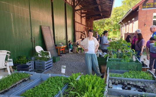 Solidarische Landwirtschaft lädt am 16. Mai zum Frühlingsmarkt in Wedesbüttel ein