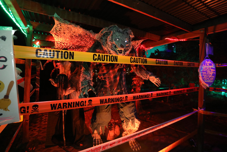 Spinnenweben, Zombies und Hexenkunst: KURT zeigt Euch, wo sich an Halloween im Landkreis Gifhorn gegruselt wurde