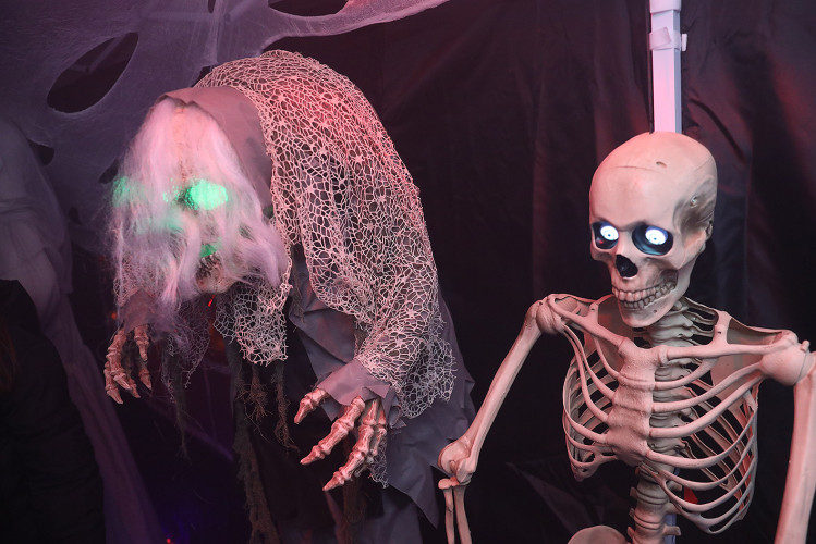 Spinnenweben, Zombies und Hexenkunst: KURT zeigt Euch, wo sich an Halloween im Landkreis Gifhorn gegruselt wurde