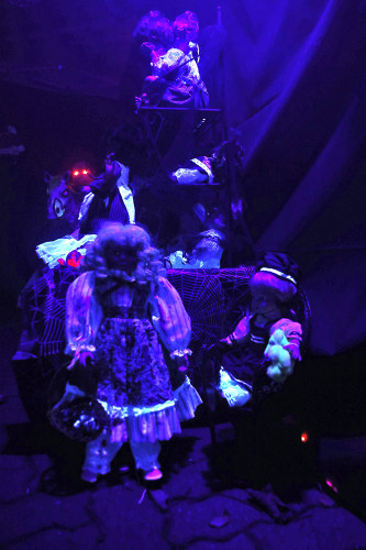 Spinnenweben, Zombies und Hexenkunst: KURT zeigt Euch, wo sich an Halloween im Landkreis Gifhorn gegruselt wurde