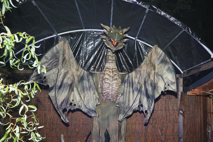 Spinnenweben, Zombies und Hexenkunst: KURT zeigt Euch, wo sich an Halloween im Landkreis Gifhorn gegruselt wurde