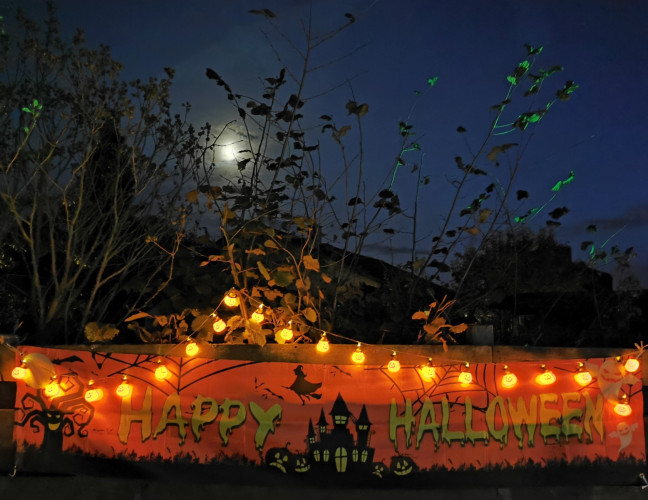 Spinnenweben, Zombies und Hexenkunst: KURT zeigt Euch, wo sich an Halloween im Landkreis Gifhorn gegruselt wurde