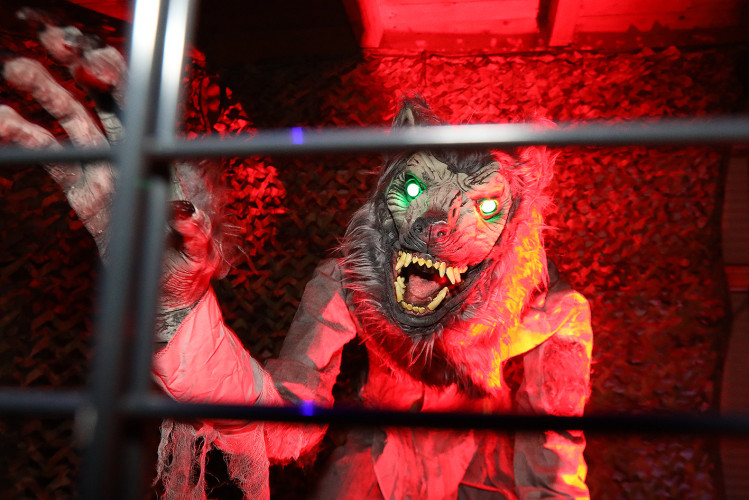 Spinnenweben, Zombies und Hexenkunst: KURT zeigt Euch, wo sich an Halloween im Landkreis Gifhorn gegruselt wurde