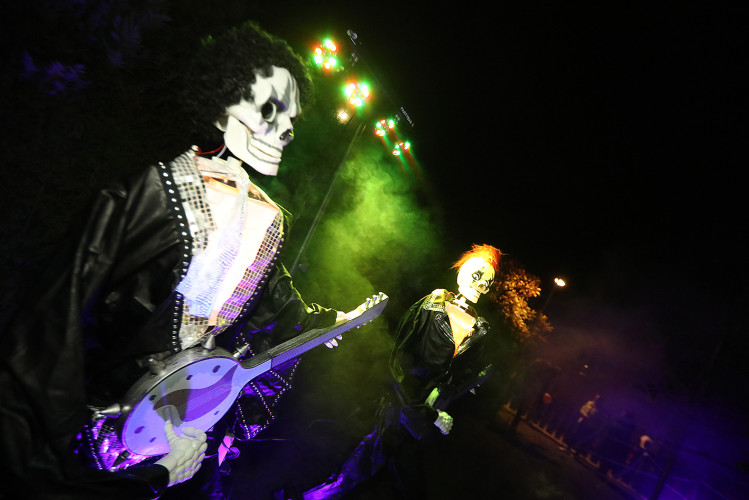 Spinnenweben, Zombies und Hexenkunst: KURT zeigt Euch, wo sich an Halloween im Landkreis Gifhorn gegruselt wurde