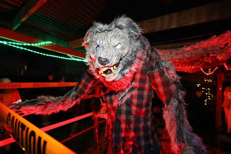 Spinnenweben, Zombies und Hexenkunst: KURT zeigt Euch, wo sich an Halloween im Landkreis Gifhorn gegruselt wurde