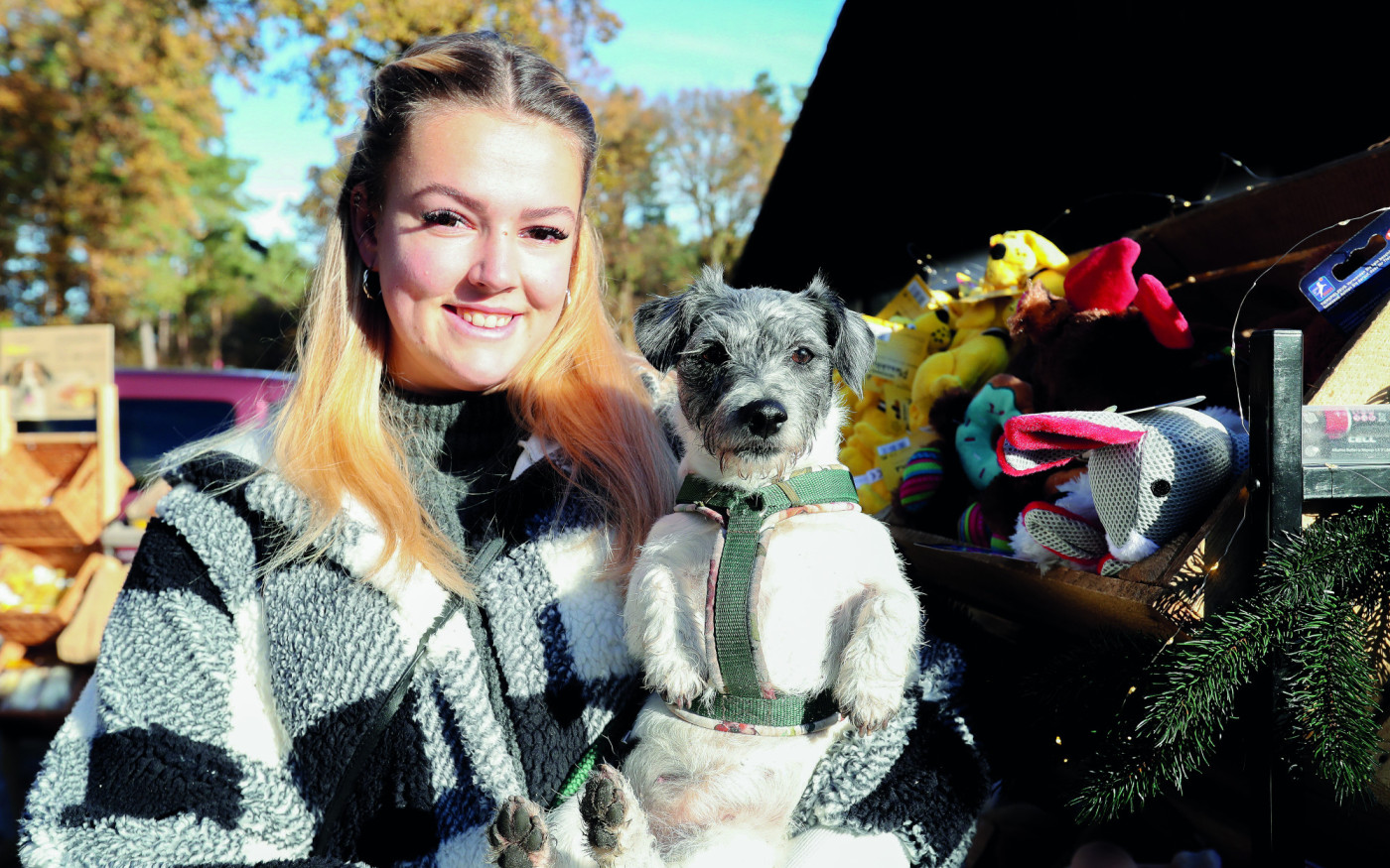 Weihnachtsmarkt für den Wauwau: Am 9. November strömen Hundehalter an den Tankumsee